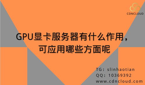 GPU顯卡服務器 驅動數字文化創(chuàng)意內容應用服務的新引擎